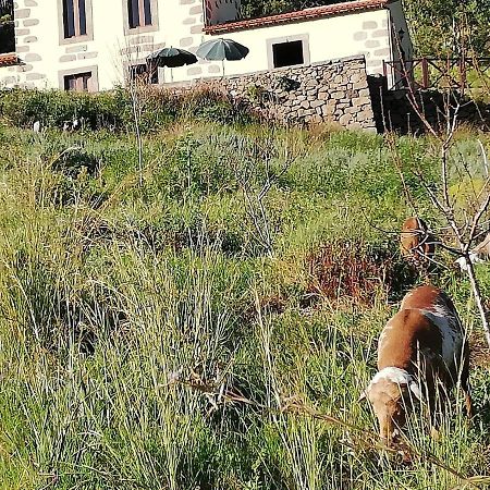 Casa Rural Las Caldereras Teror Esterno foto