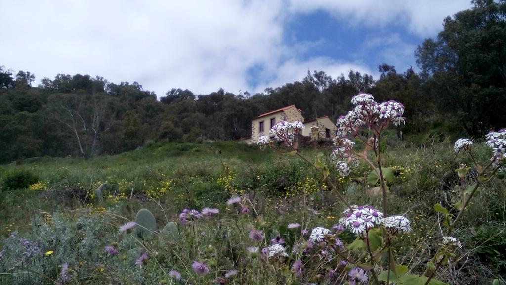 Casa Rural Las Caldereras Teror Esterno foto